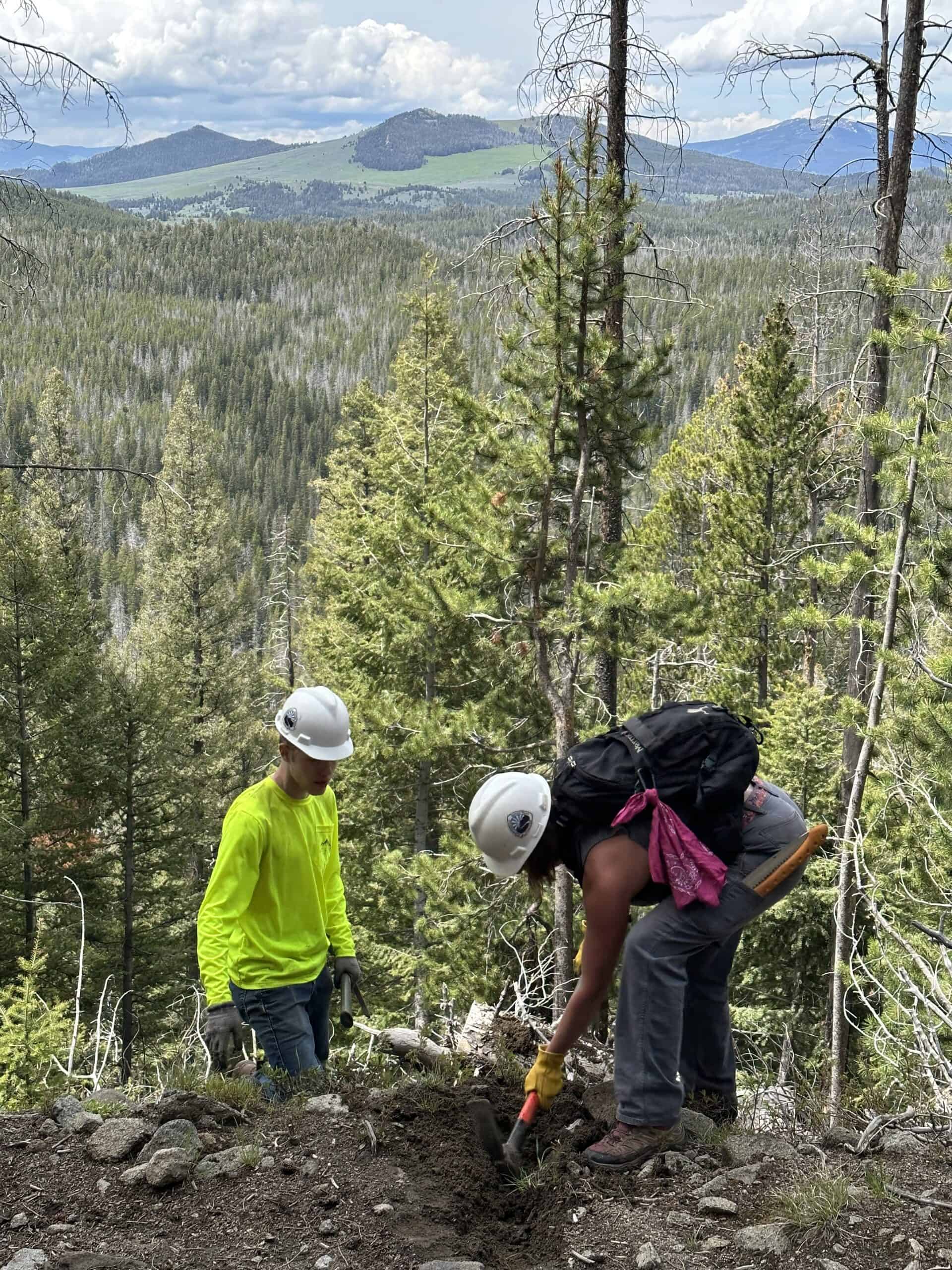 Montana Adopter Training