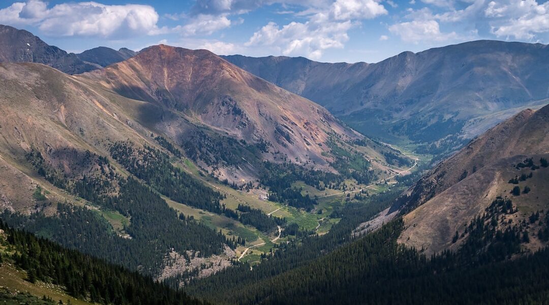 2026 Morgan Gulch Project with Friends of the Dillon Ranger Dist | CO