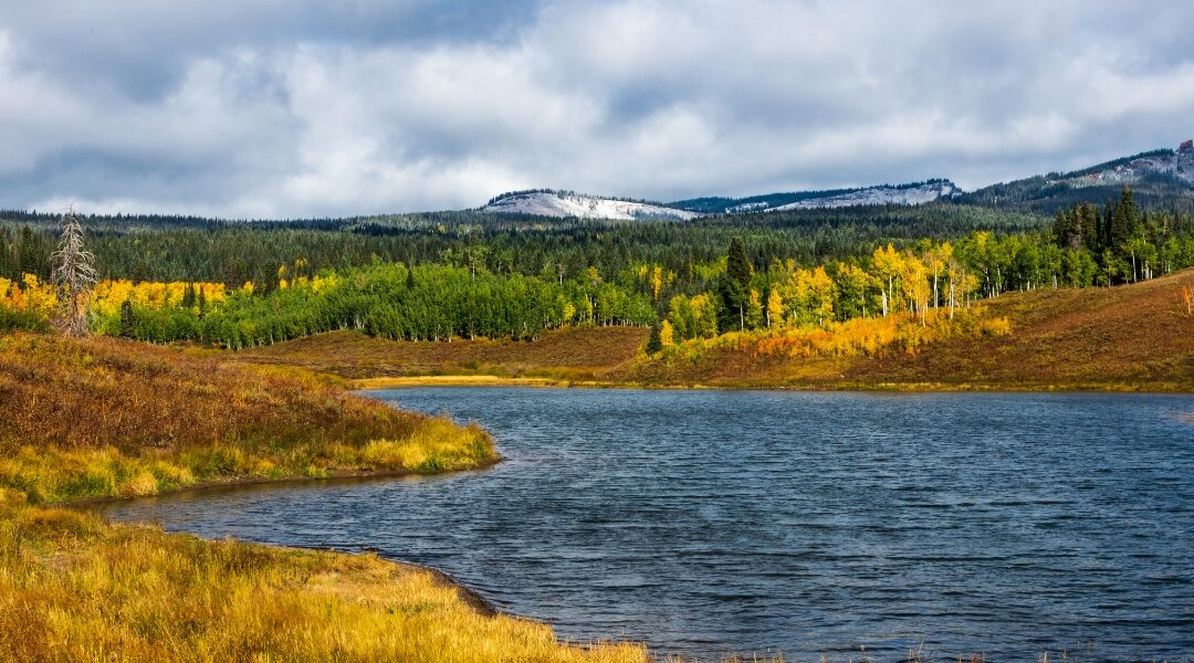 Muddy Pass Clean up and Restoration Project | Near Walden, CO
