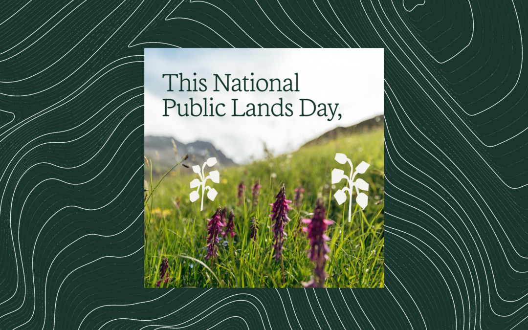 Celebrate Public Lands Day with REI & PNTS I CO