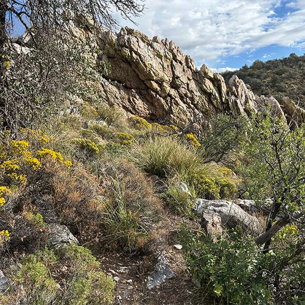 Neg Mine Before Square