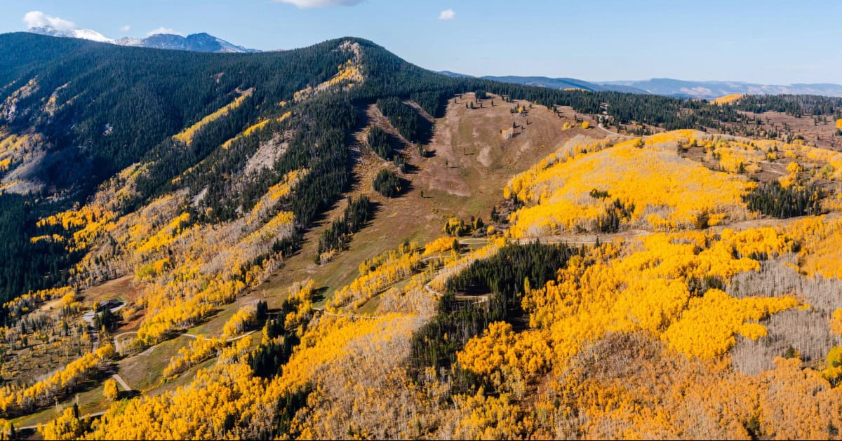 Northern Co