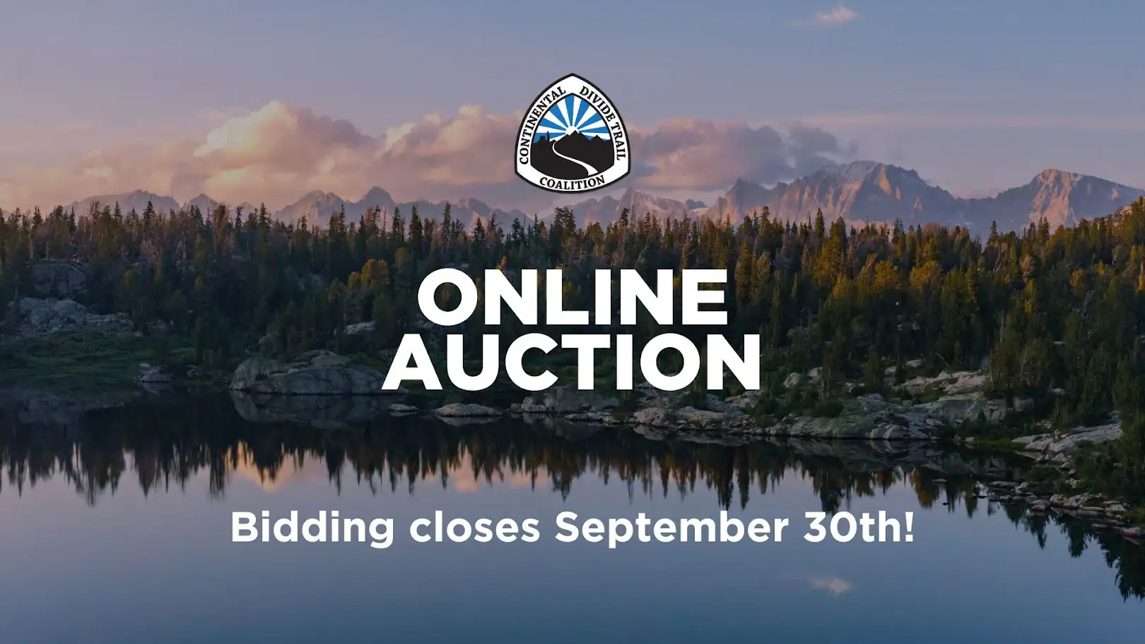 Online Auction