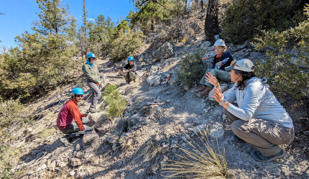 Field Operations Program Manager Job Opening