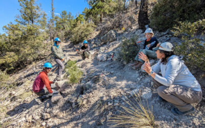 Field Operations Program Manager Job Opening