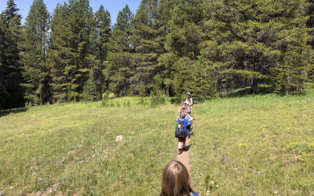 Youth Trail Stewardship on the CDT