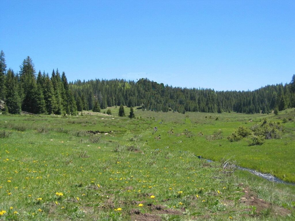 SanPedroParks