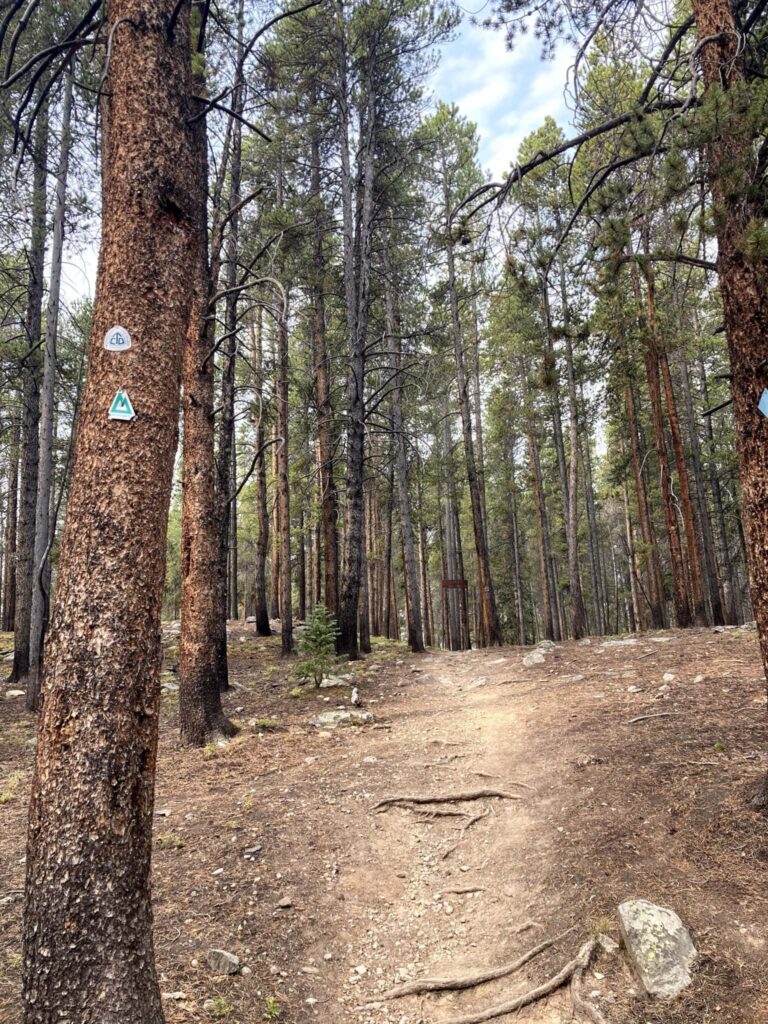 TN Pass to Timberline Lake Francesca Governali 1536x2048 1
