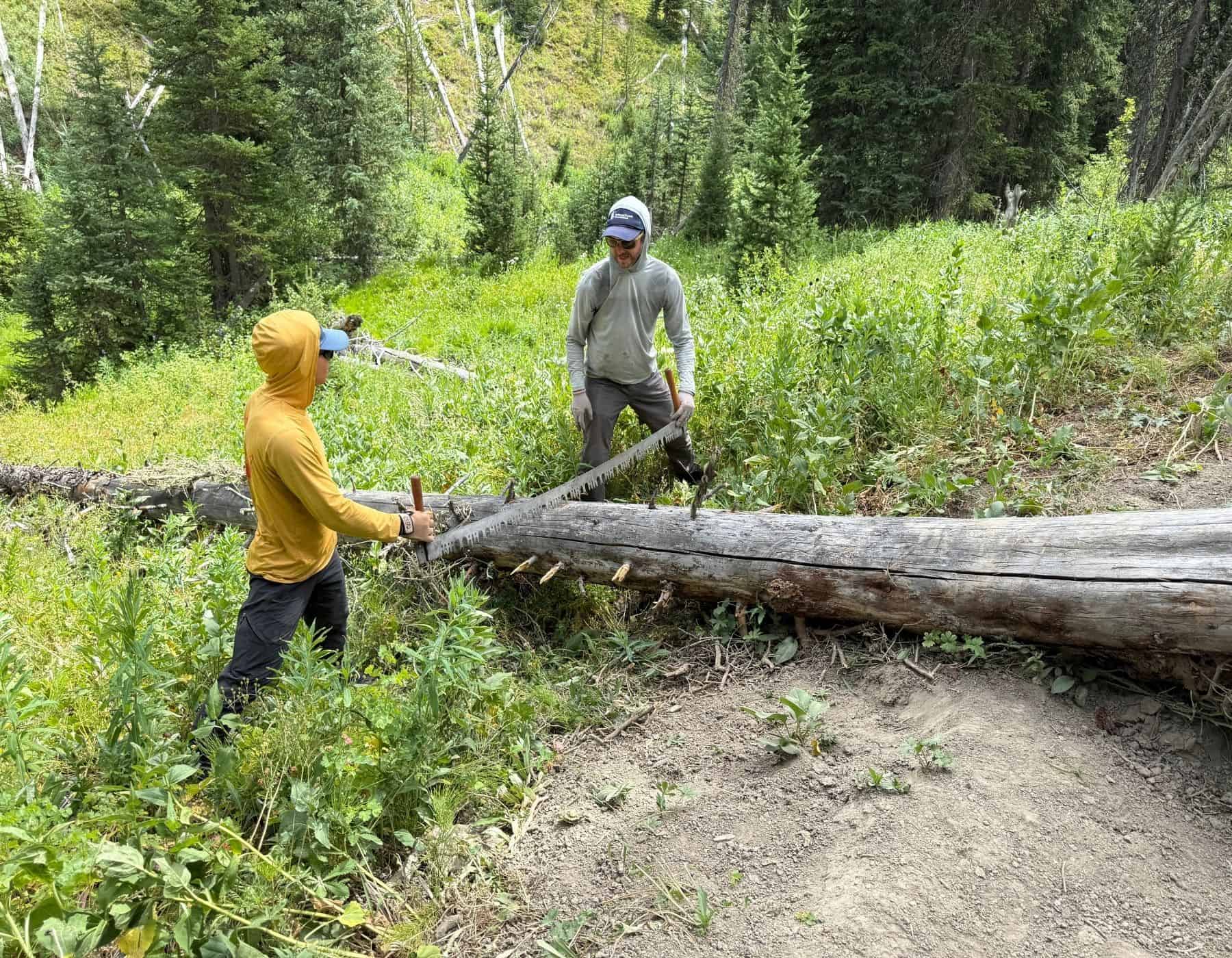 Soda Fork Backcountry Logout