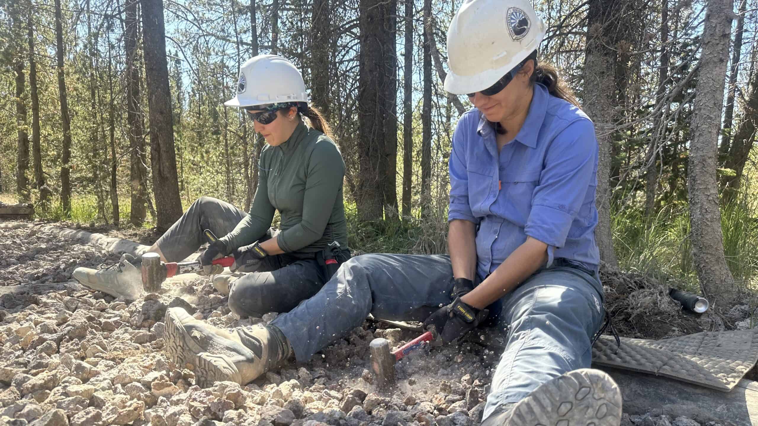 Yellowstone Volunteer 