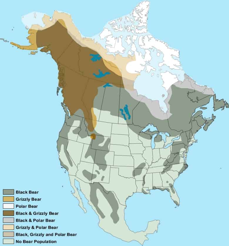 Bear Areas Map