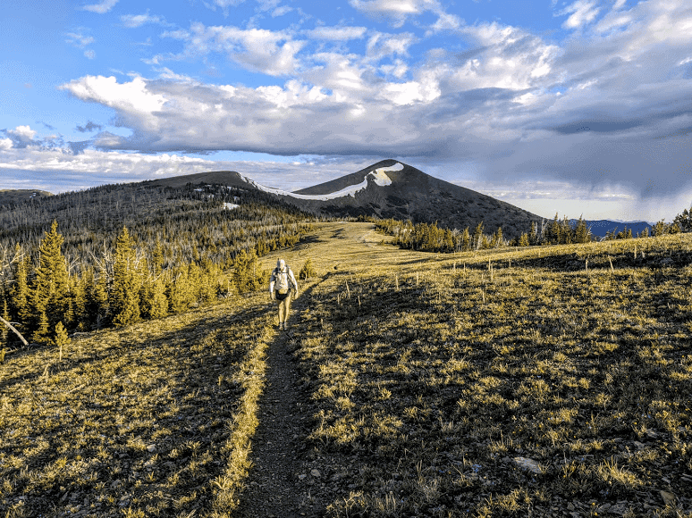 Walking the Line