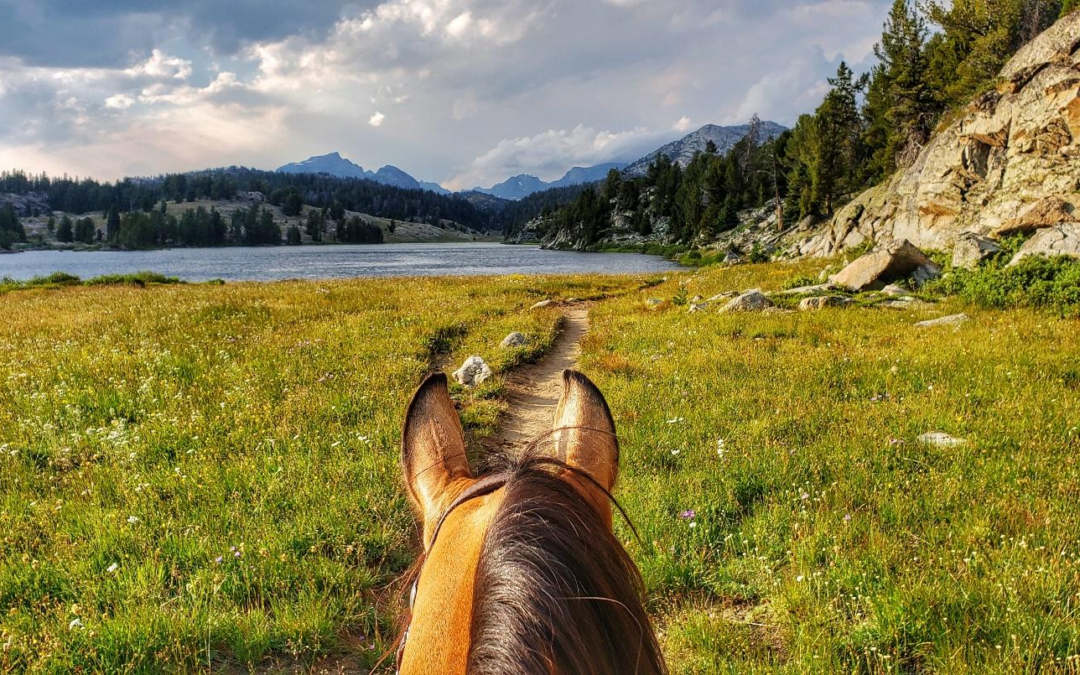 Seeing the World Between Two Ears: Exploring Trails on Horseback in the Western U.S.