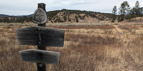 Roadless 600x300