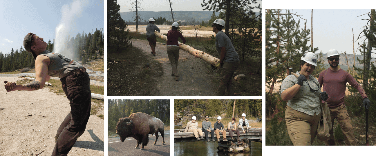 yellowstone 2